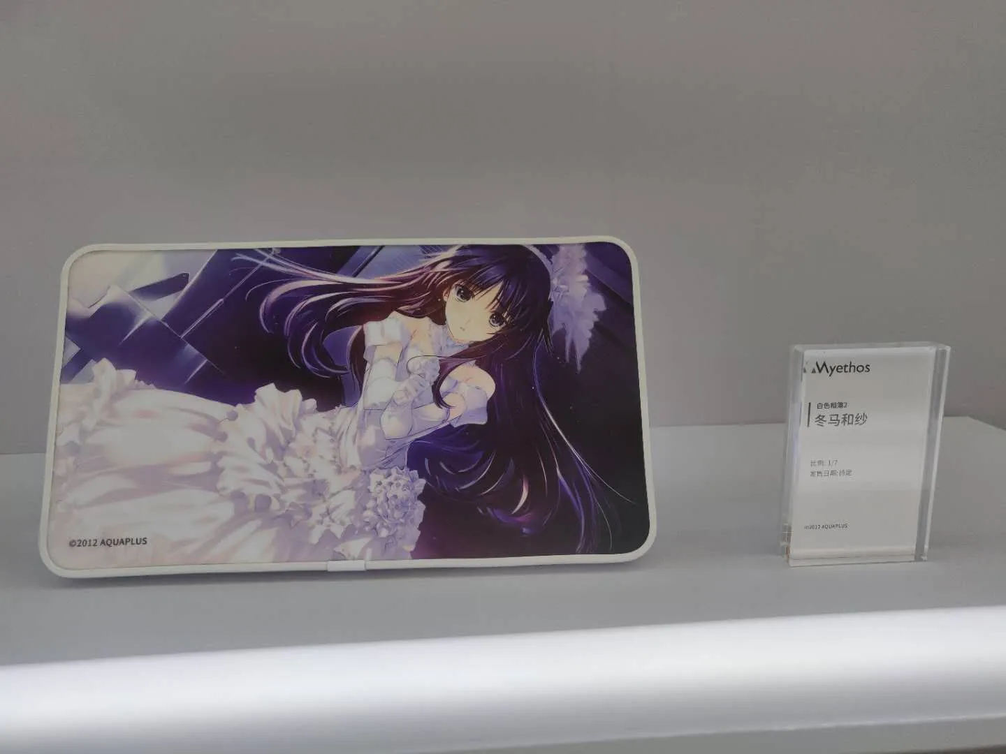 wf2019-7